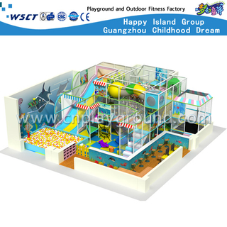 School Small Ocean Indoor Playground For Amusement Park (H13-60011)