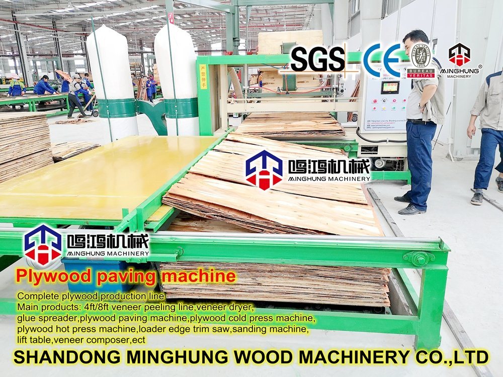 Lini Perakitan Kayu Lapis untuk Lini Produksi Kayu Lapis