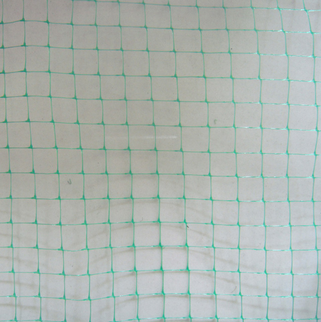 HDPE/PP 30gsm green color planting net/plant support net