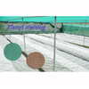 HDPE 70gsm green color or other color Anti Insect Net