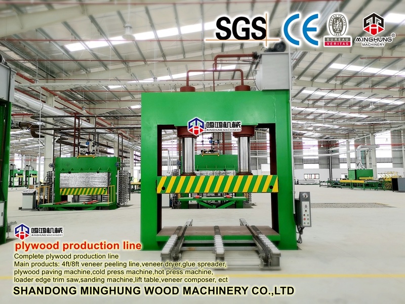 Mesin Press untuk Memproduksi Kayu Lapis di Pabrik China