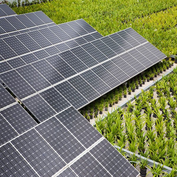 Problemas de la calidad del panel solar y de medidas preventivas