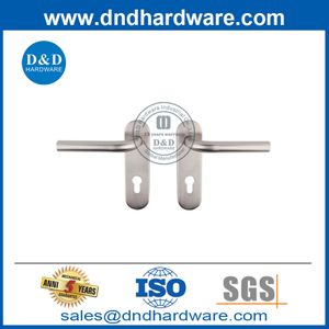 Manija de palanca de tubo de puerta delantera de acero inoxidable con placa posterior-DDTP008