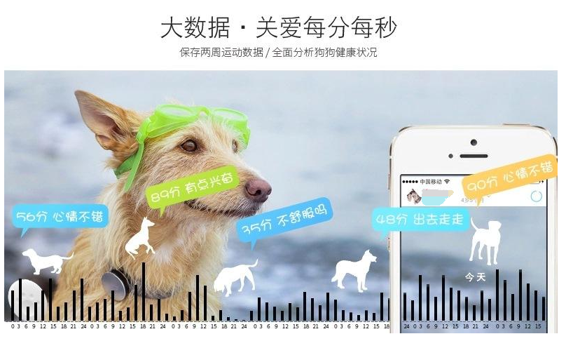 宠物项圈智能版全面监控宠物健康行程