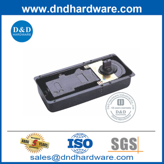耐用重型不锈钢盖玻璃前门地弹簧-DDFS220