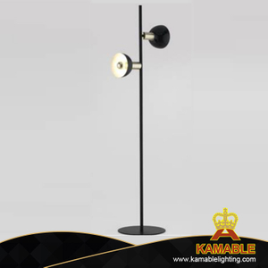 Современный домашний металлический напольный светильник (KAF01)
