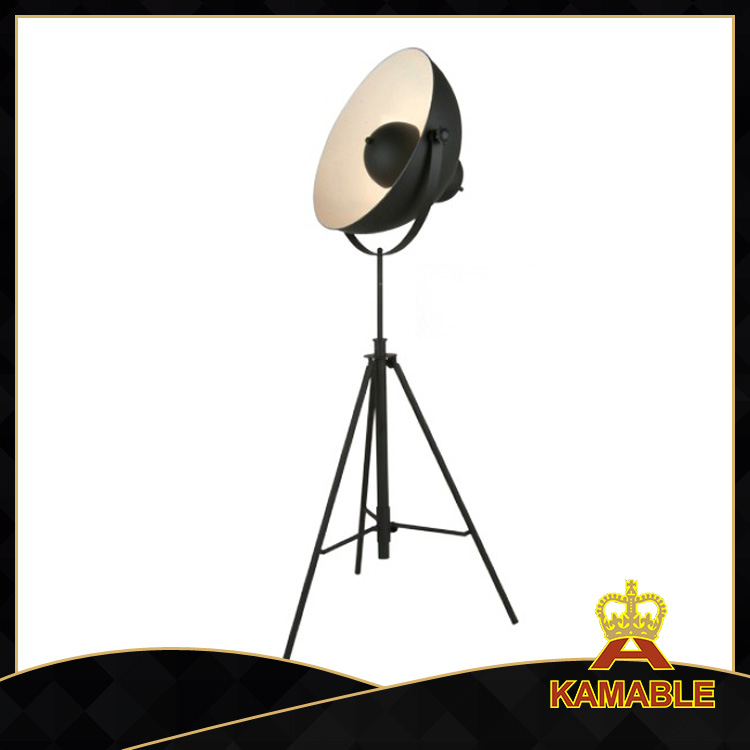 Современный дизайн Black Studio Floor Stand Lamp (F7006S)