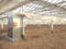 Floor type Air condition generator for poultry house