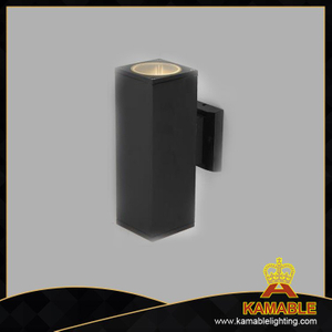 Наружные декоративные металлические настенные светильники (KA-G4101/2)