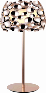 Lámpara de vector decorativa de interior del metal del diseño agradable (T0027G)