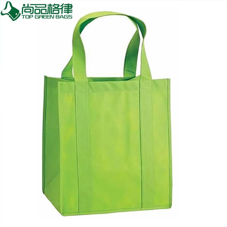 Promotional Cheap Eco-Friendly Non Woven Bag (TP-SP315)