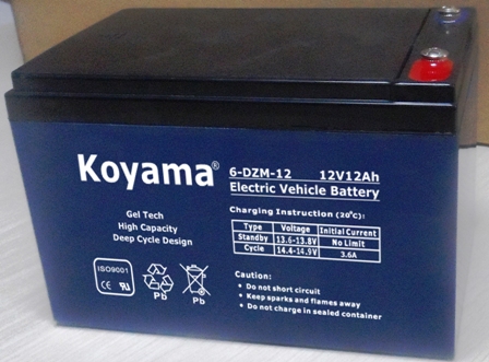 Electric Bike/Motor Battery 