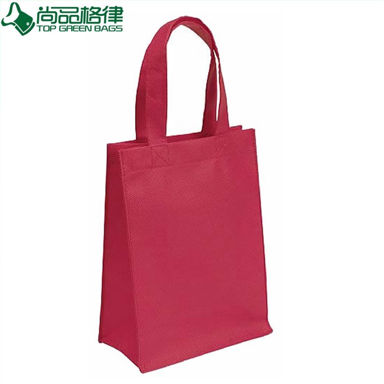 100% Biodegradable 80GSM Non Woven Bag Shopping Bags (TP-SP441)