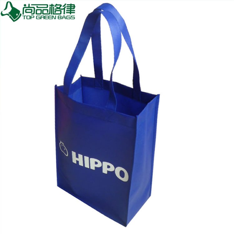 Cheap Printable PP Non Woven Shopping Bag (TP-SP003)