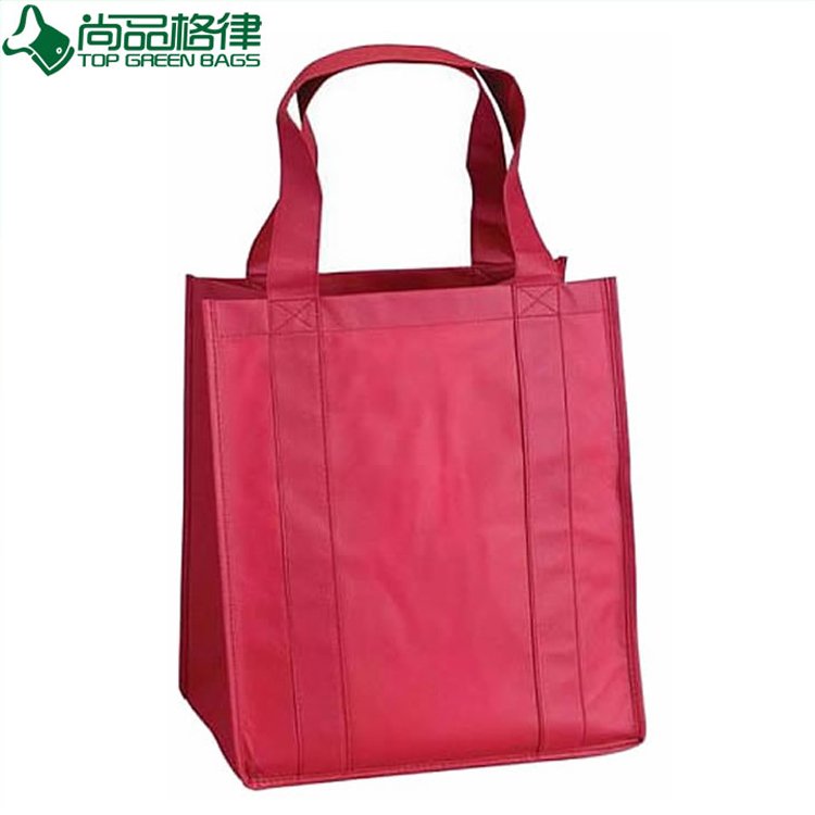Promotional Cheap Eco-Friendly Non Woven Bag (TP-SP315)