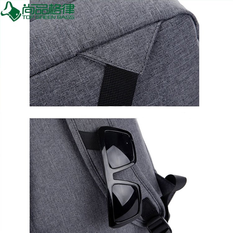 2017 New Design Laptop Backpack Leisure Backpack for Business (TP-BP274)