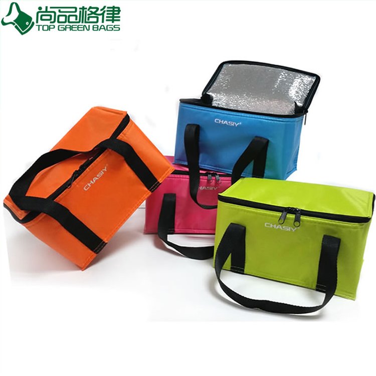 Customized 6 Pack Can Insulated Cooler Bag (TP-CB219)