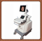 4D Color B-Ultrasound Scanner Machine/Color Doppler Ultrasonic Diagnostic System
