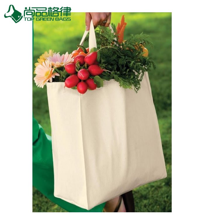 Reusable Canvas Shopping Bags (TP-SP520)