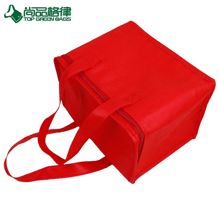 Factory Price Promotion Insulate Non Woven Carry on Cooler Bag Tote(TP-CB512)