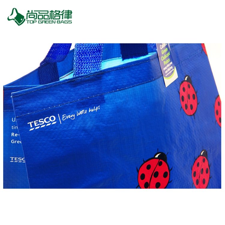 Wholesale High Quality China Eco Custom Beetles Pattern PP Non Woven Laminated Shopping Bag Popularize
