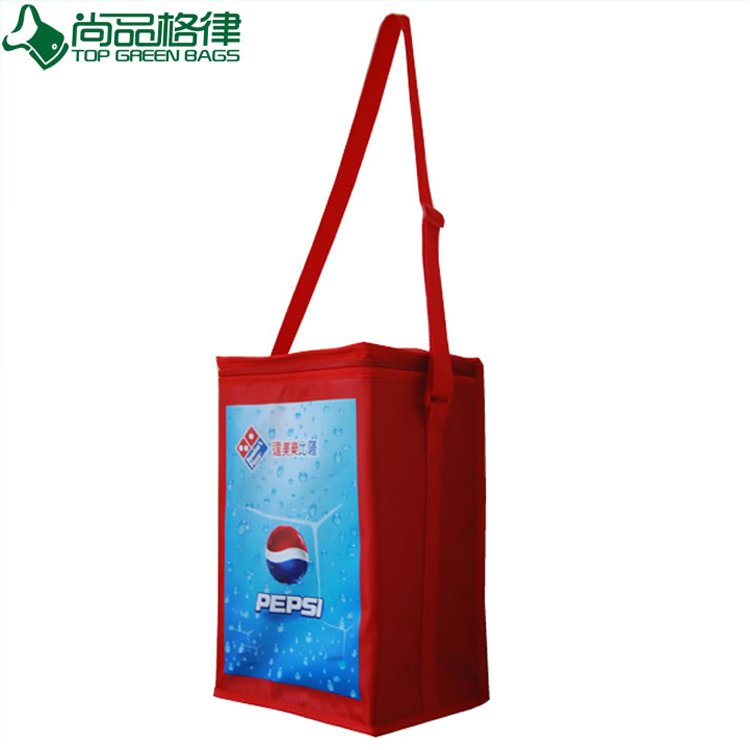 Wholesale High Quality Insulated Cooler Bag for Frozen Food (TP-CB058)
