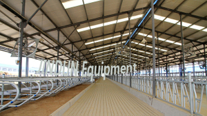 Dairy house using JDFDH series Exhaust cooling fan 