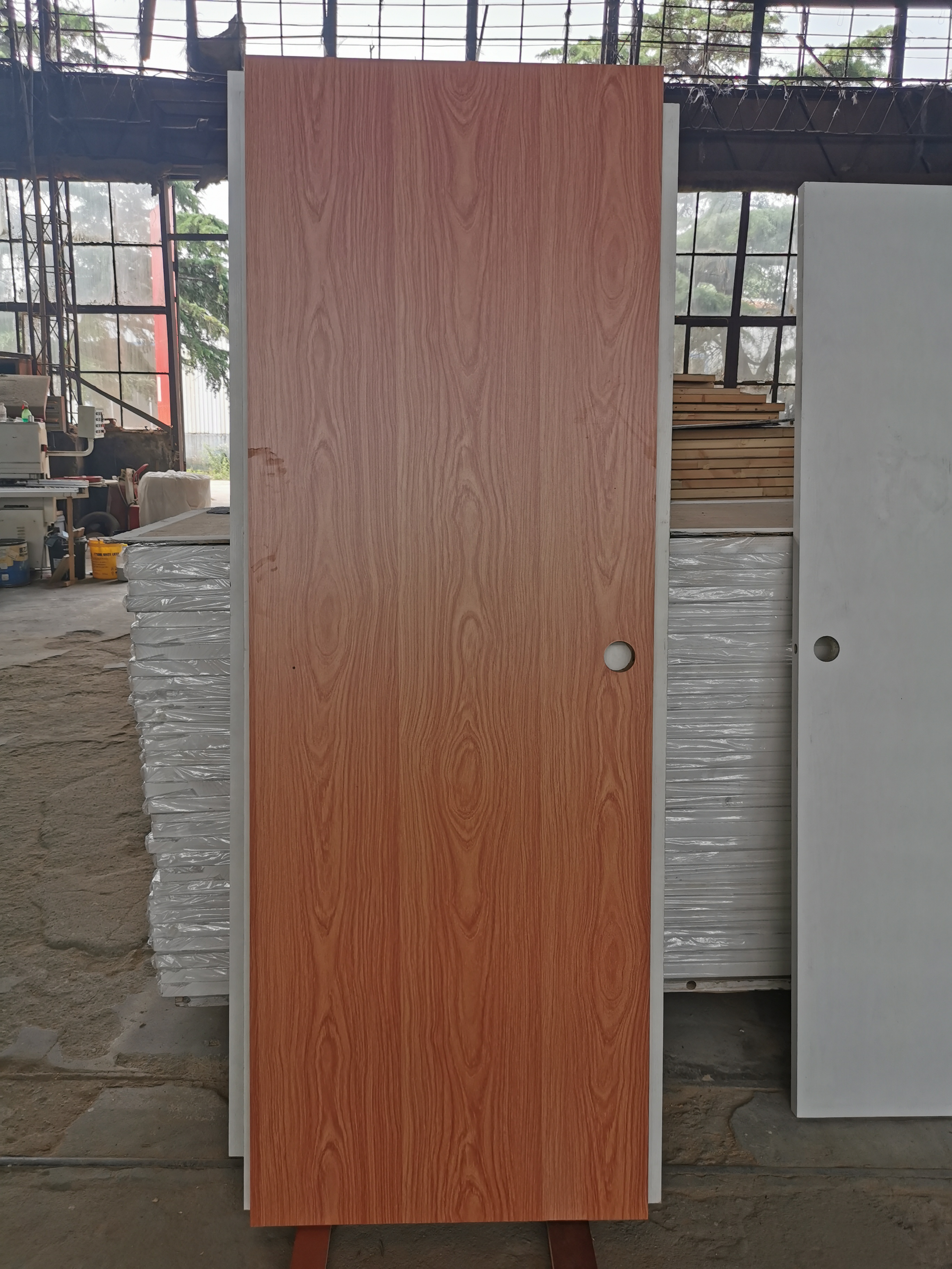 interior wooden flush doors